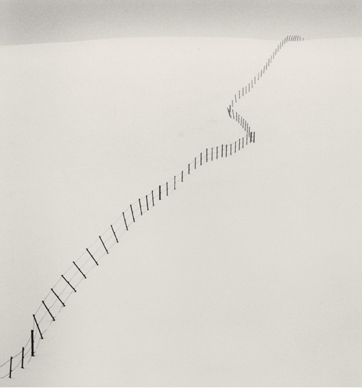 Strong Lines Strong Lines