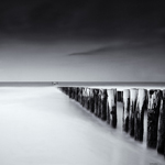 © Joel Tjintjelaar