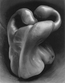 Edward Weston – Pepper (1930) Edward Weston – Pepper (1930)