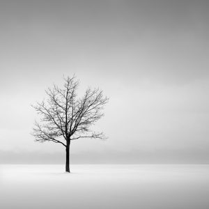 Solitude - © Jeff Gaydash