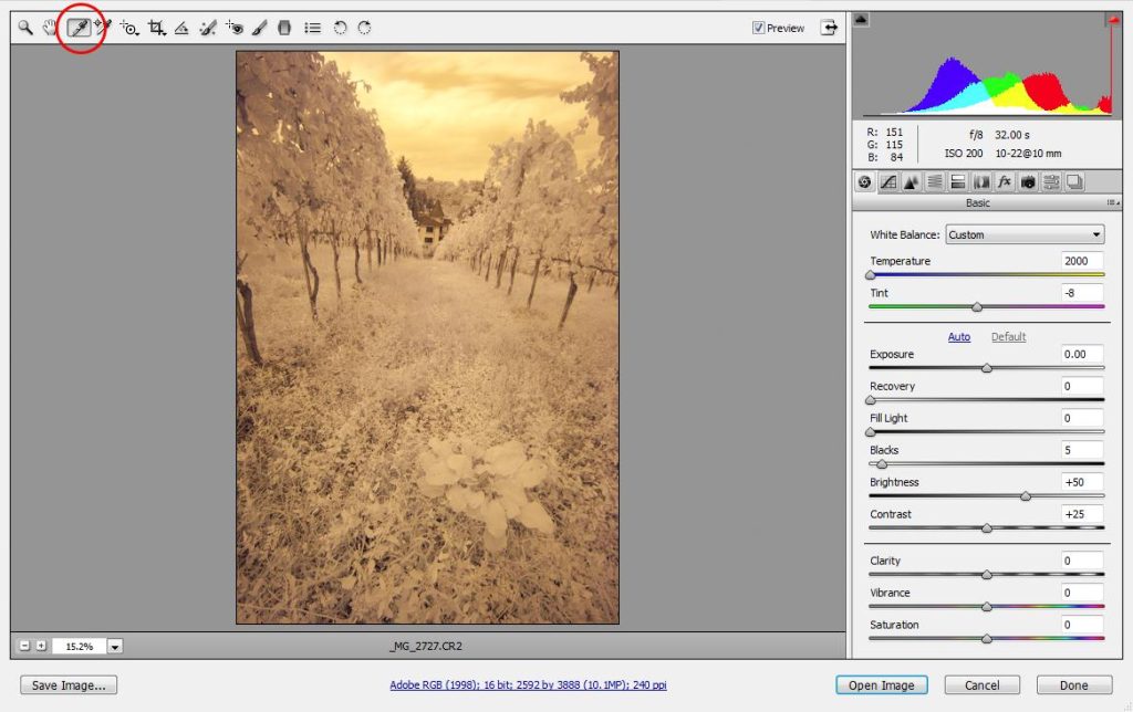 Raw file after WB tuning (Notice the mark around the WB adjustment tool)