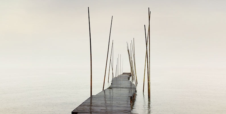 Michael Levin photographer Interview