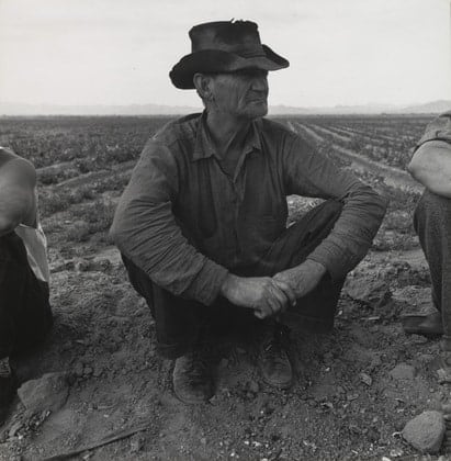 Dorothea Lange Jobless on the Edge of a Peafield