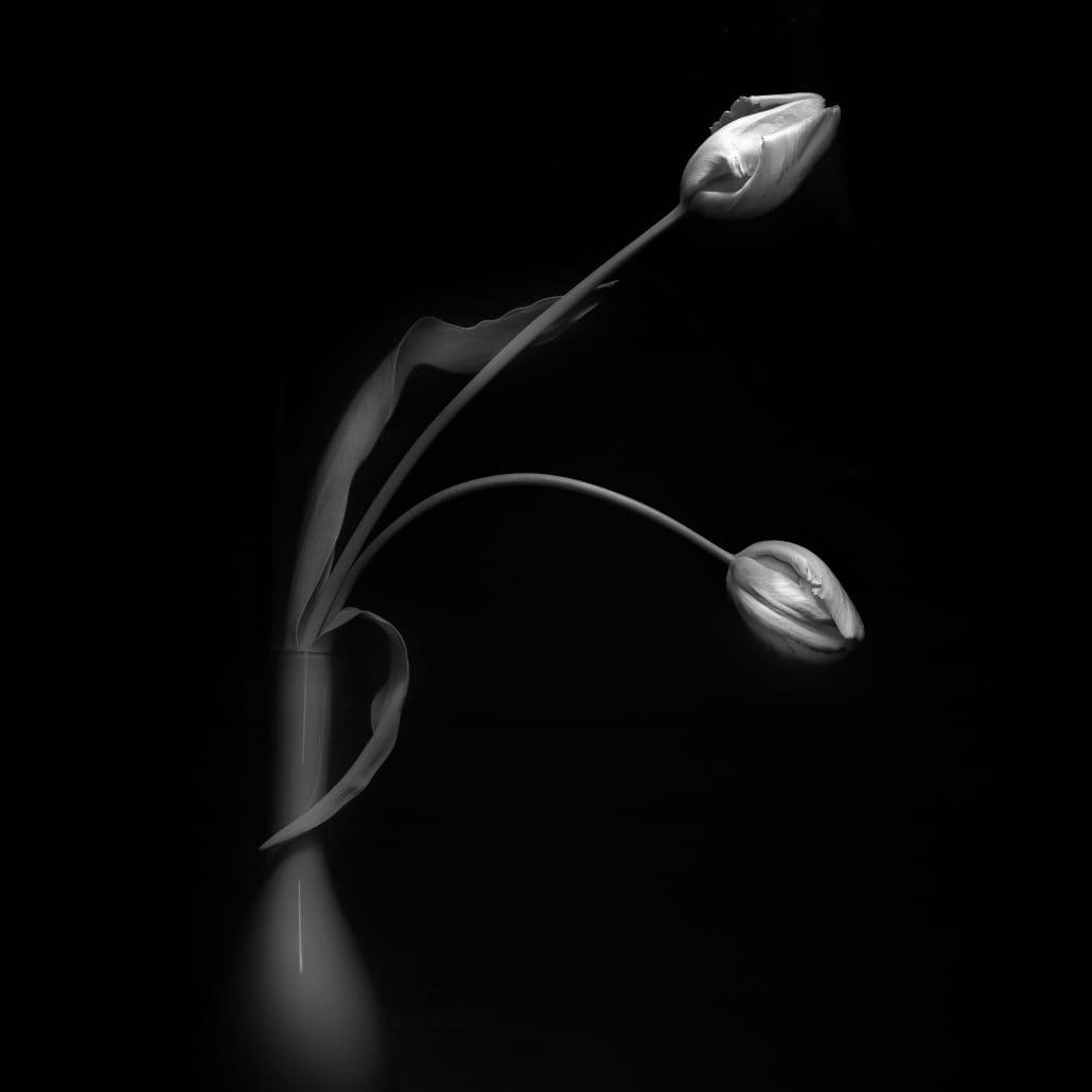 Still Life With Phase One Achromatic