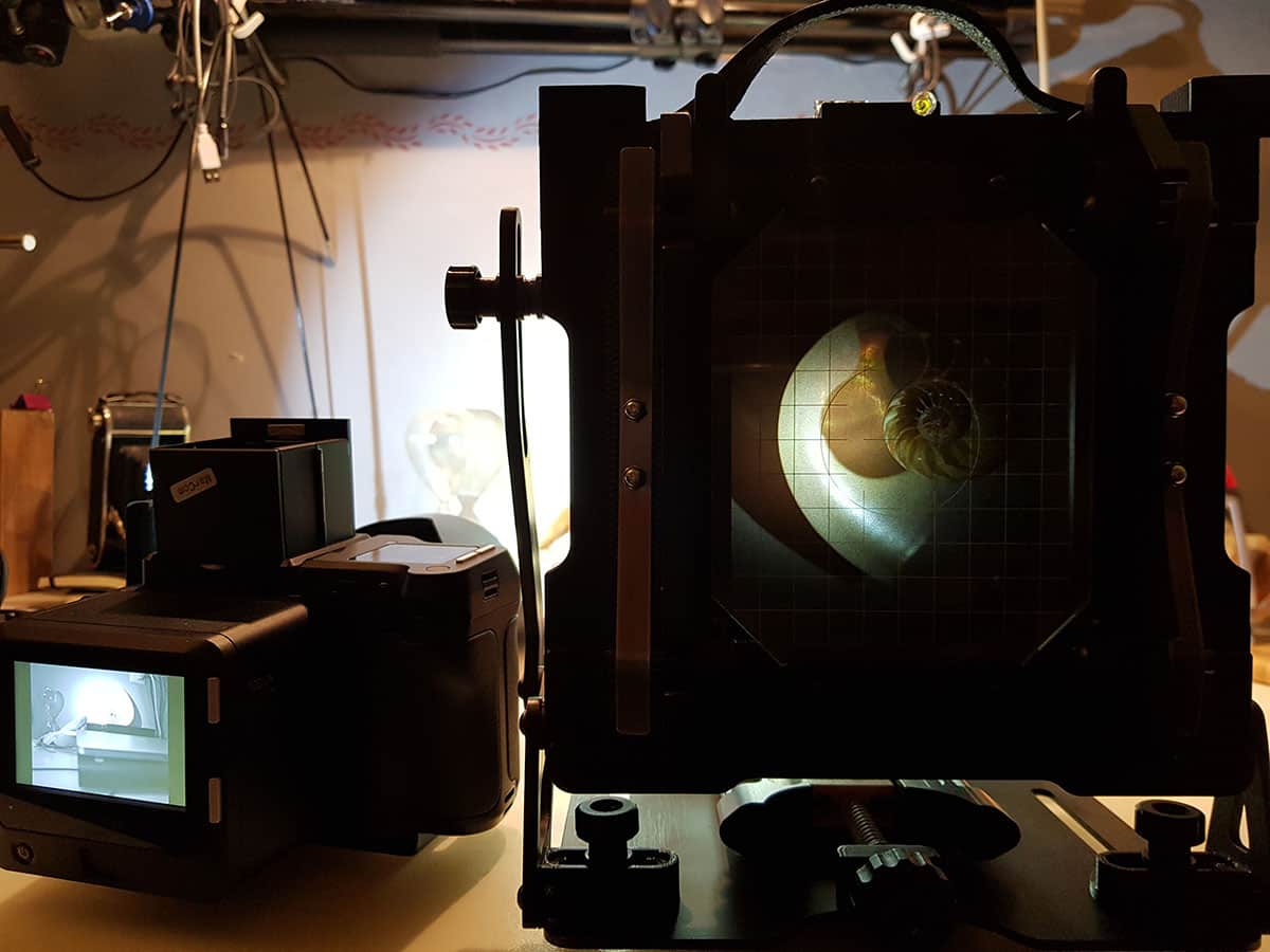 Large Format Camera Ground Glass View