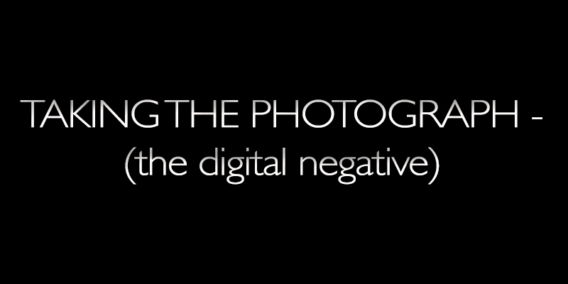 taking the photograph