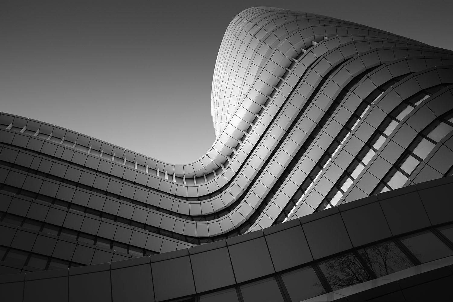 _A5A2706-2-BW16-cropped-final-1000x1500